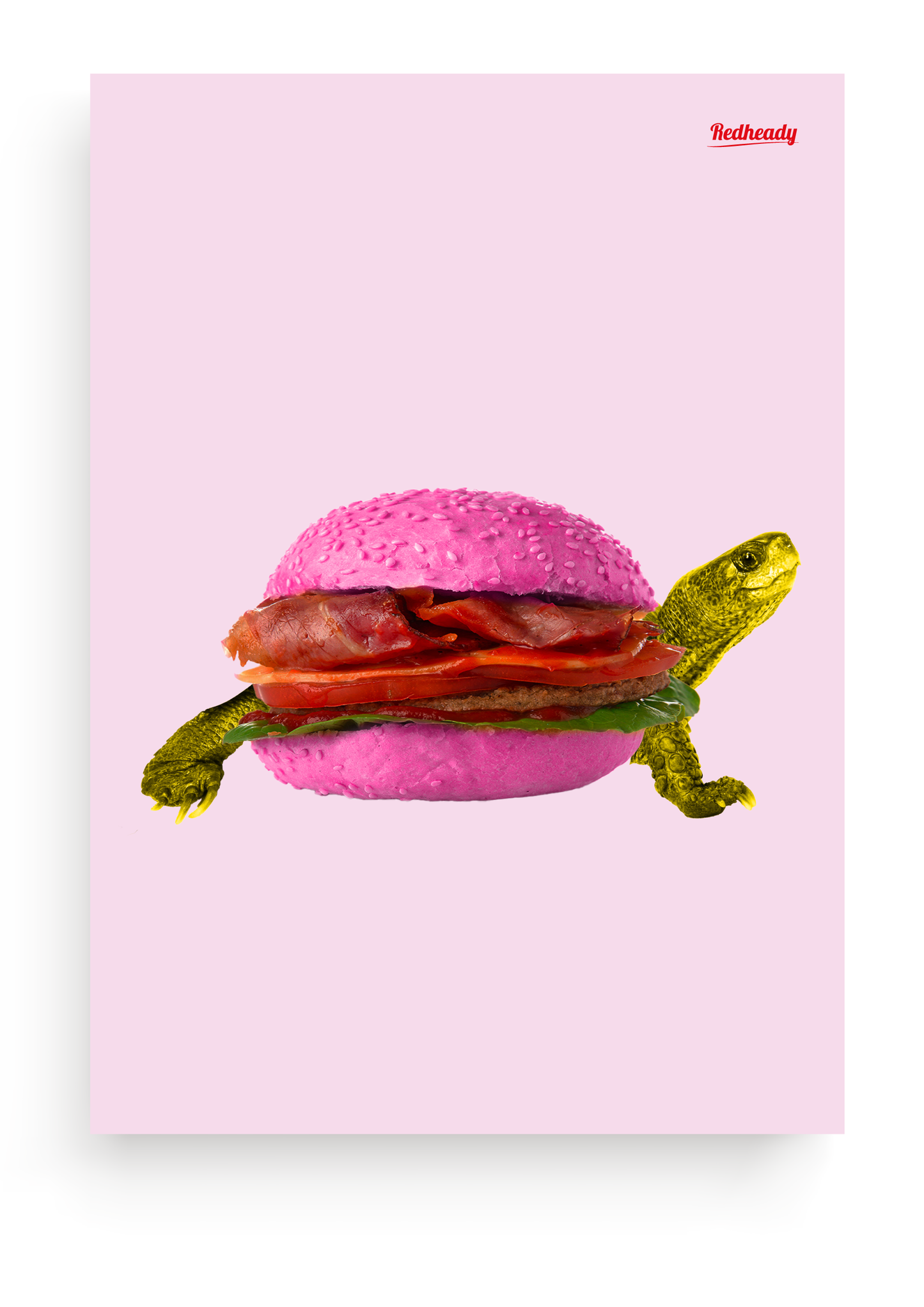 hamburger schildpad poster