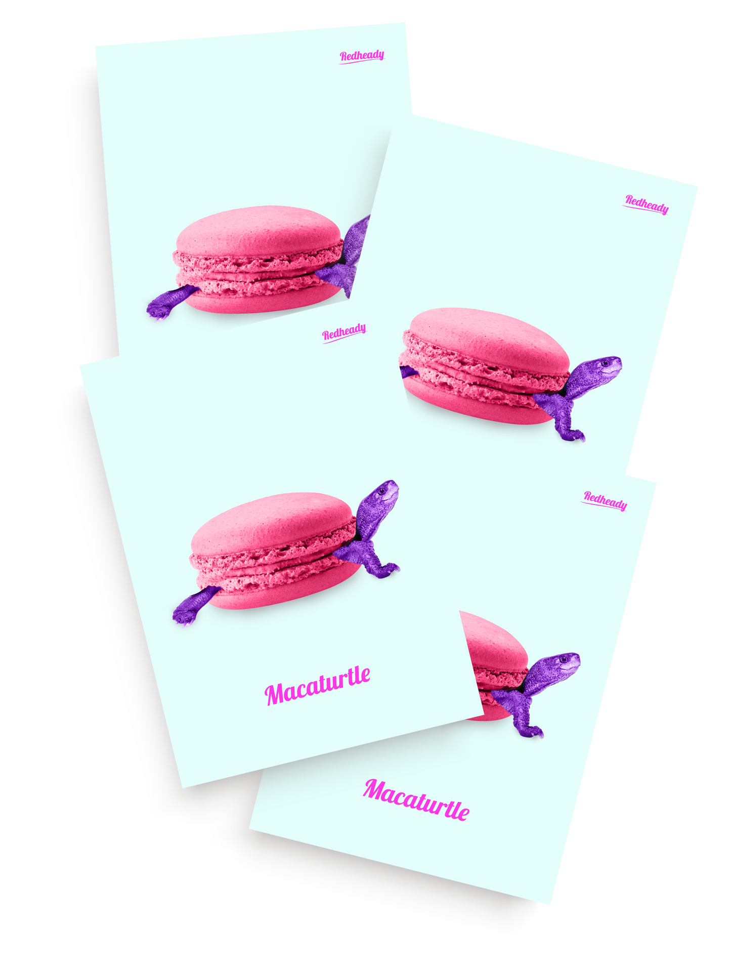 Card set - Macaturtle