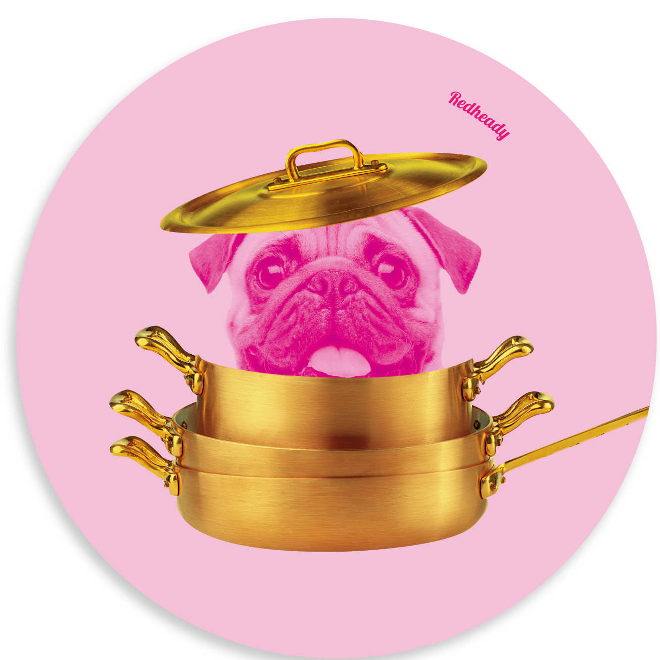 Muurcirkel - Hond in de pot