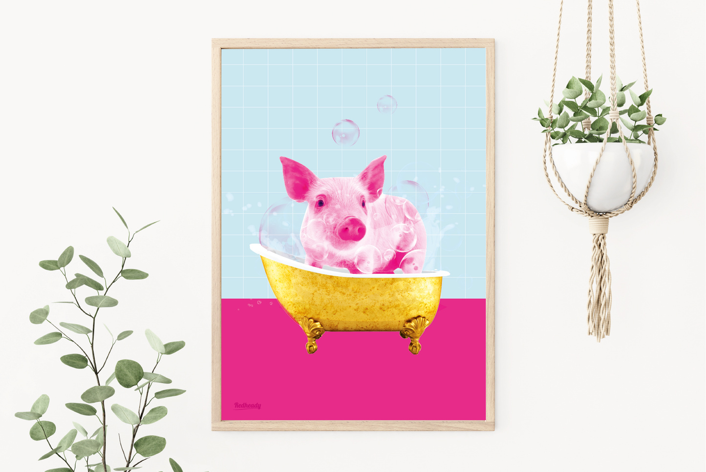 Poster Washing a pig