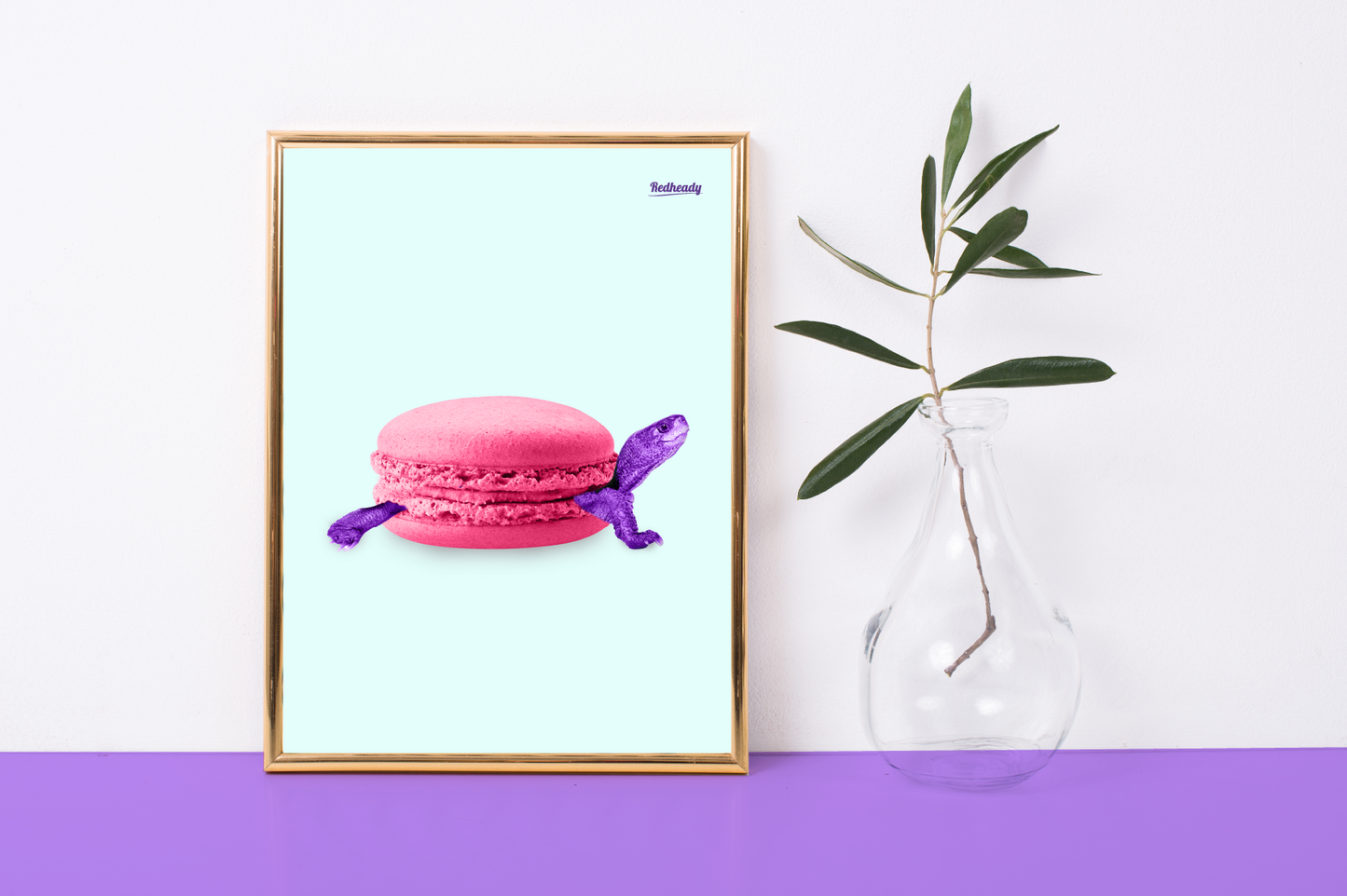 Poster Turtle - Macaturtle