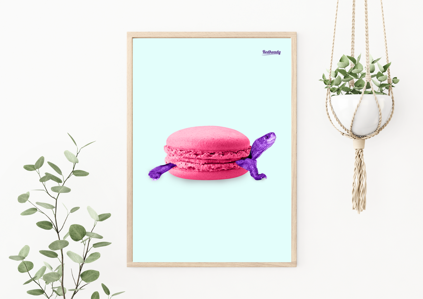 Poster Turtle - Macaturtle