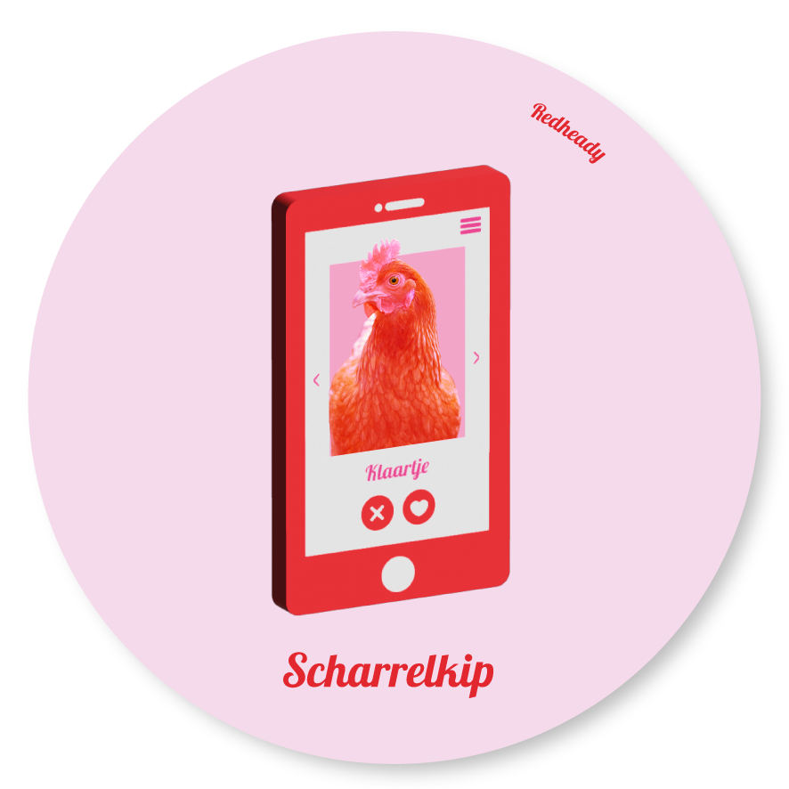 Muurcirkel - Scharrelkip