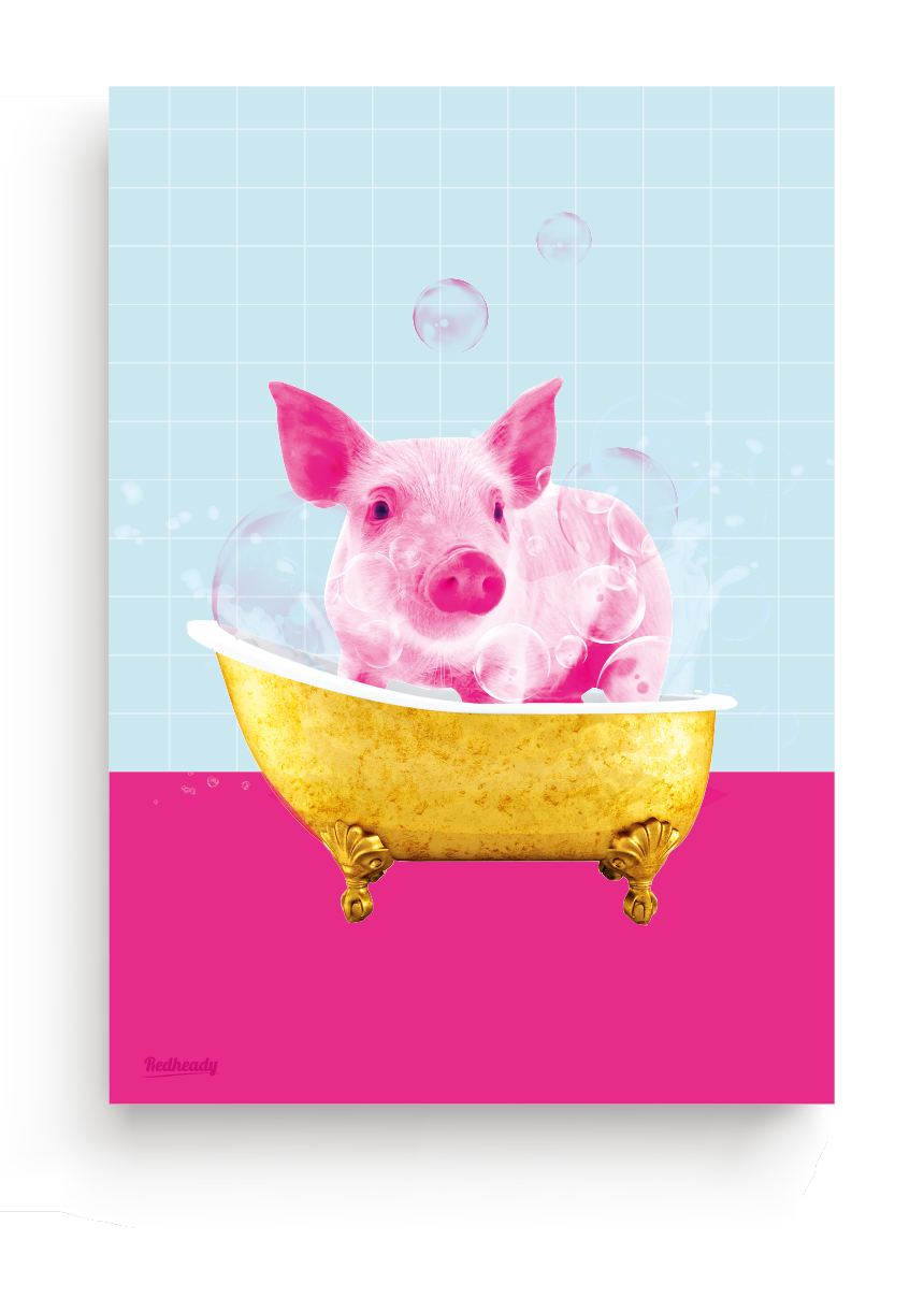 Poster Washing a pig
