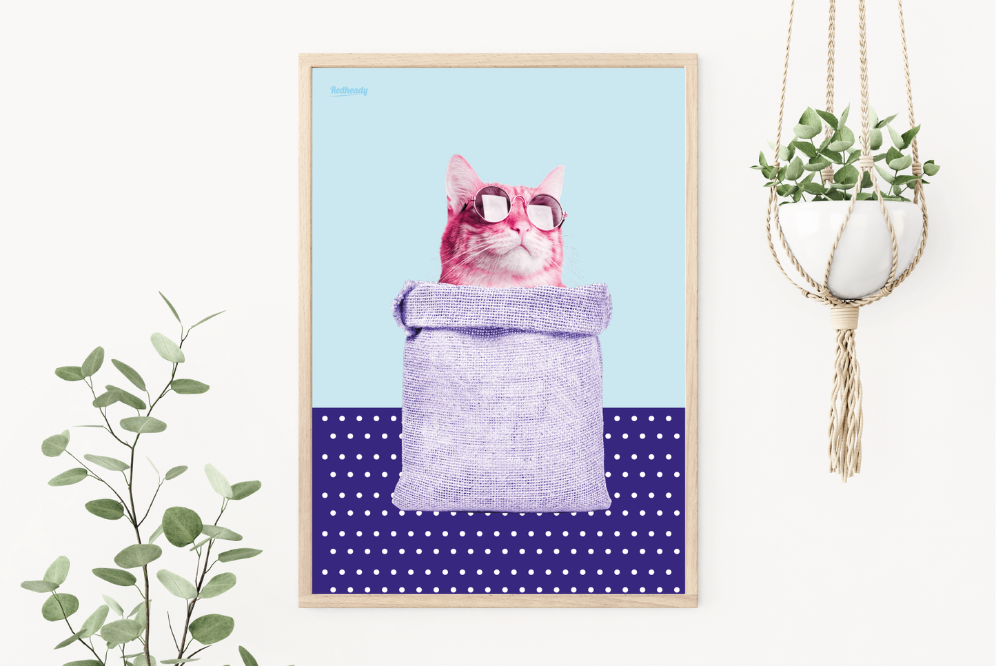 Poster Kat in de zak