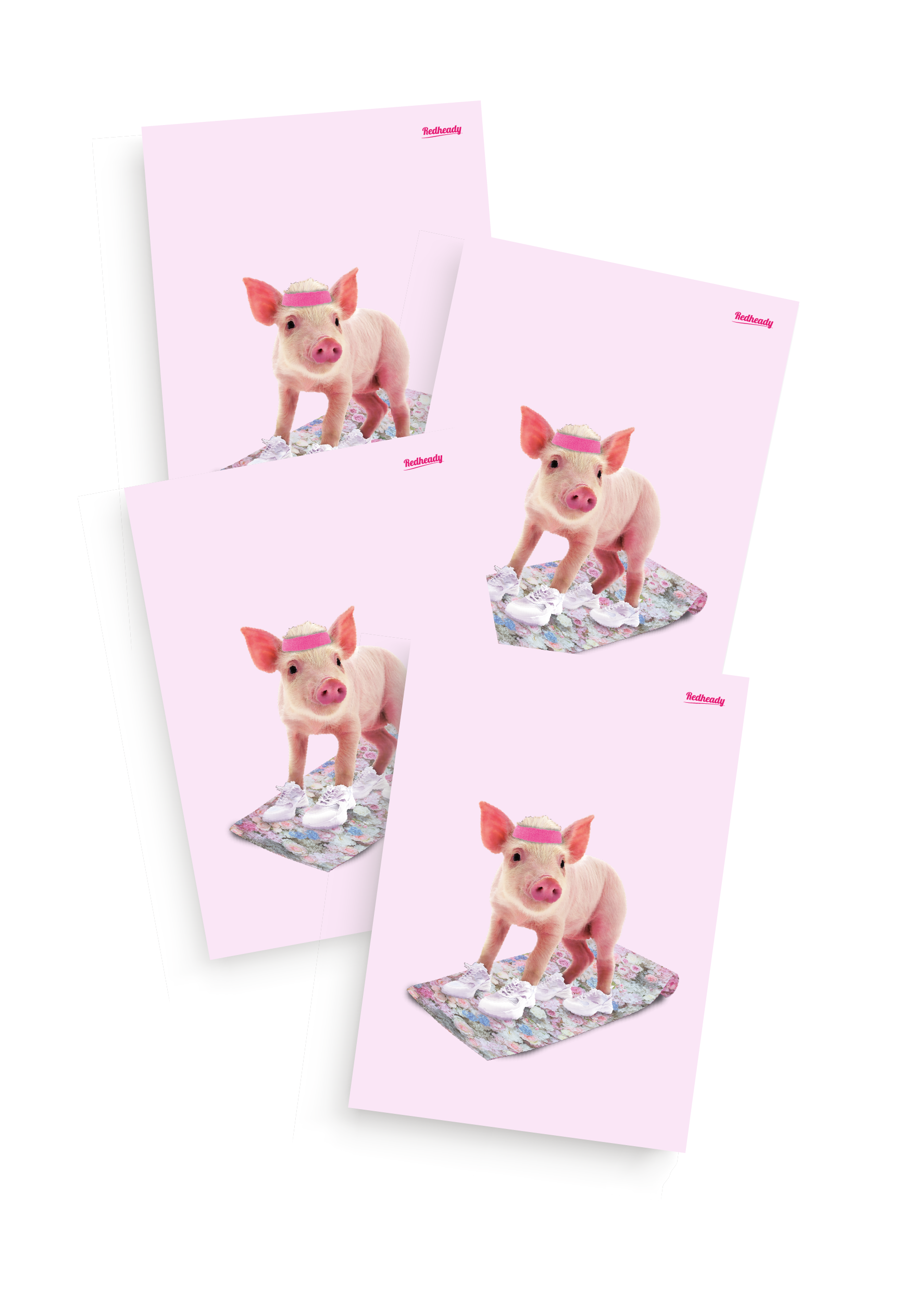fit Piggy kaarten 