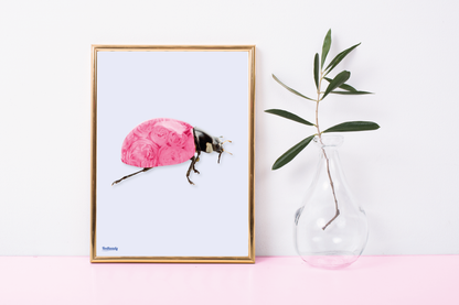 Poster Lady bug good luck