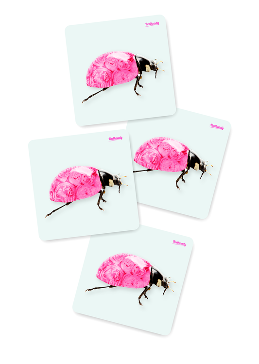 Onderzetters Ladybug good luck