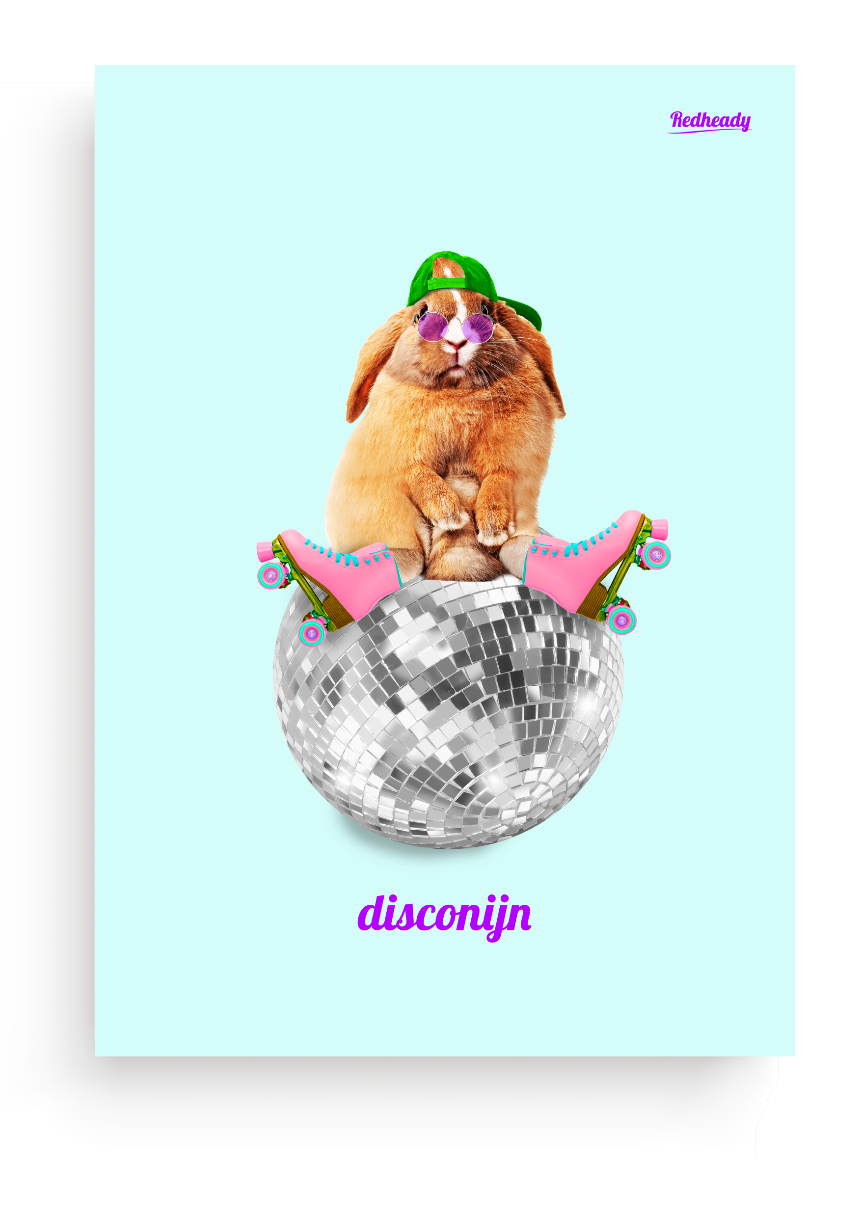 Poster konijn 