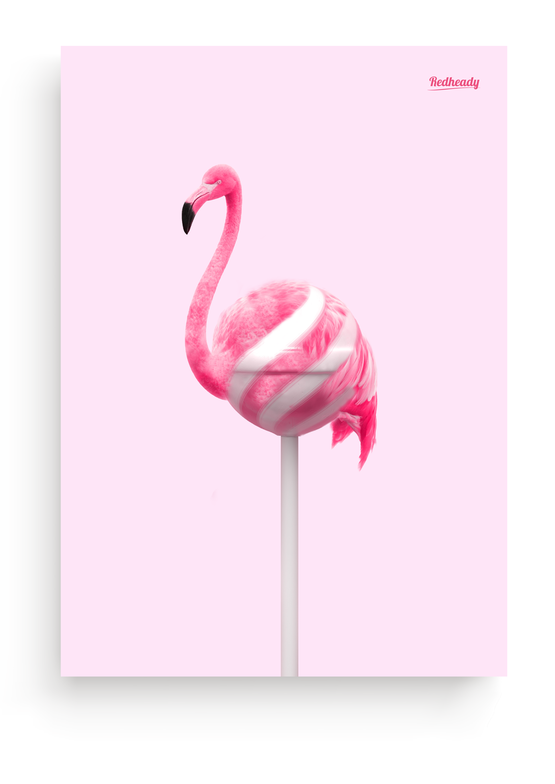 flamingo poster roze