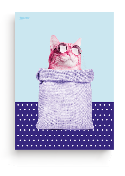 Poster Kat in de zak