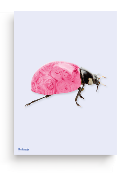 Poster Lady bug good luck